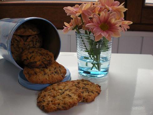 chocoladehaverkoekjes