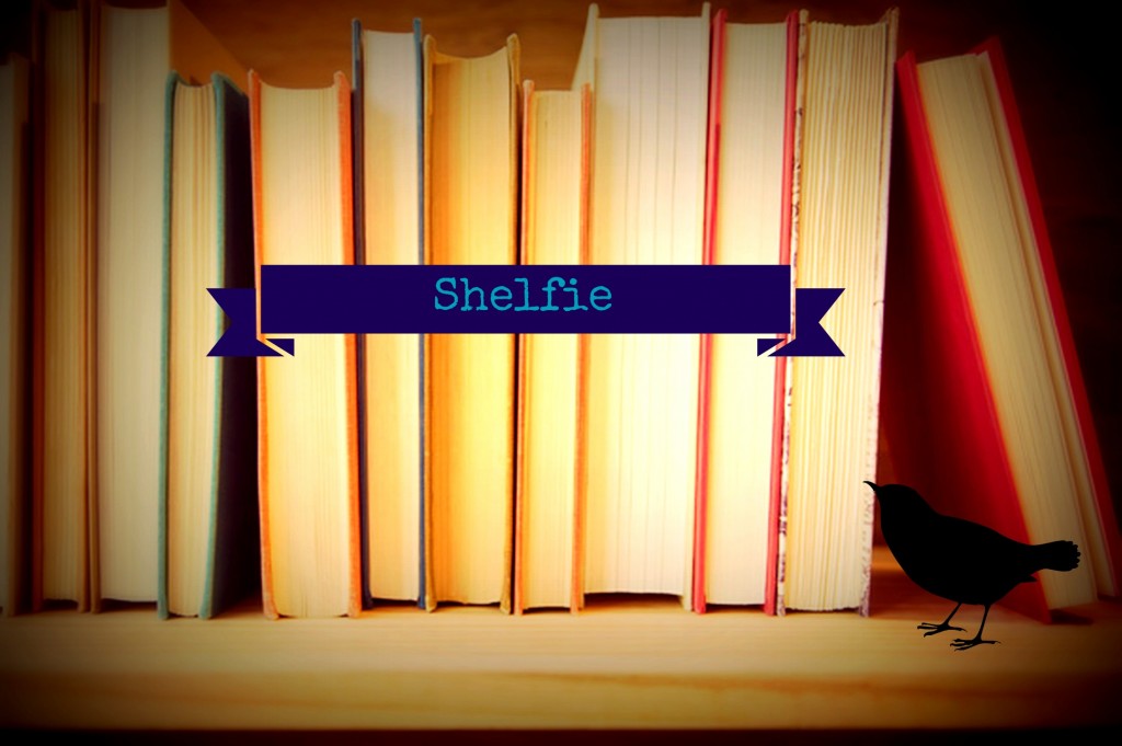 shelfie