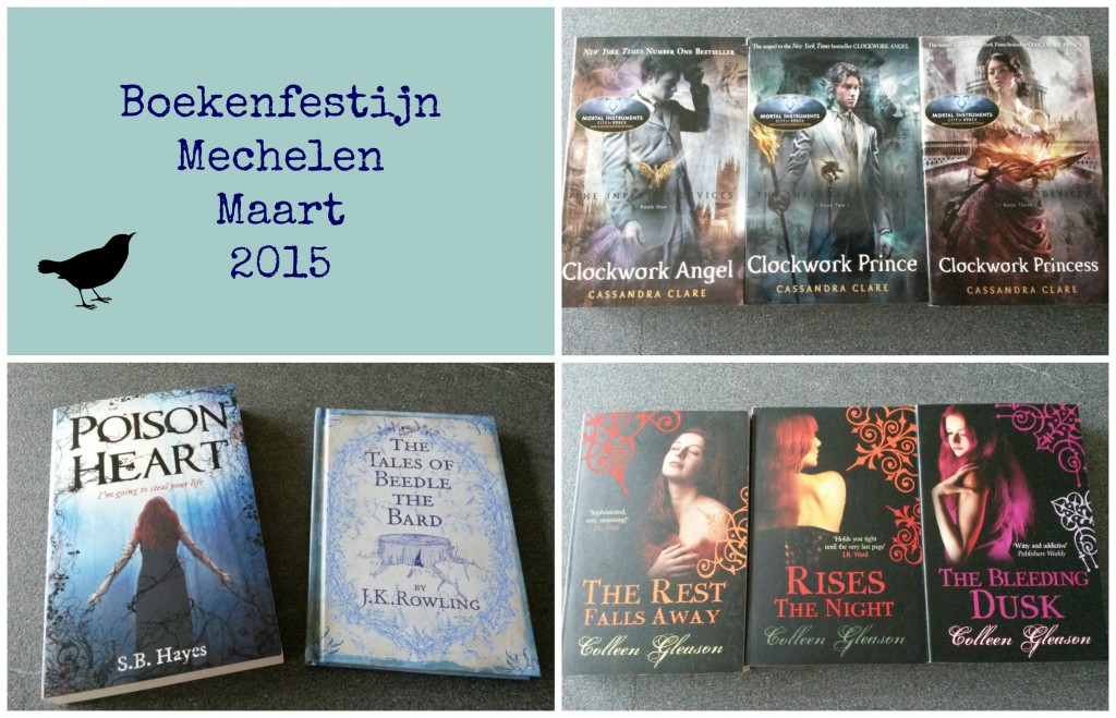 boekenfestijnmaart2015