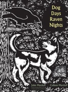 dogdaysravennights